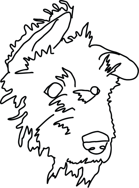 perro-24