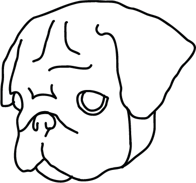 perro-25