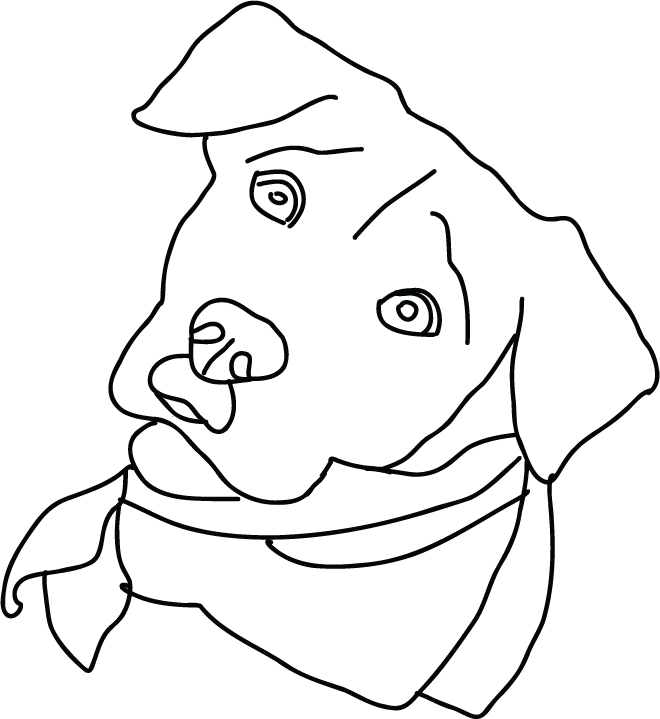 perro-29