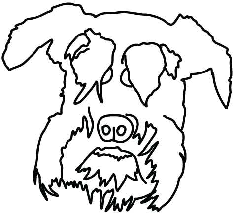 perro-30